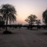 Dubai Landscape Photography
